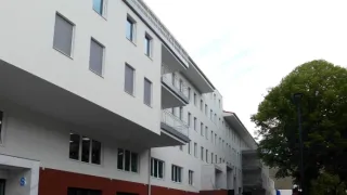 Mistři medicíny III (13/13)