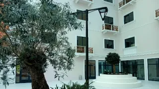 Mistři medicíny III (13/13)