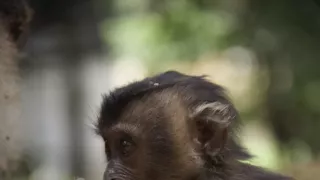 Dcery a synové divočiny (4/5)