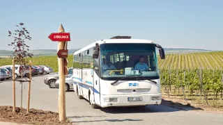 Vinaři (2)