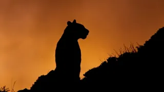 Čile: Divoká cesta (1)