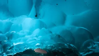 Divoká Aljaška (1/3)