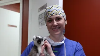 Pohotovost pro exotická zvířata IV (7)