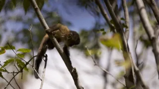 Dcéry a synovia divočiny (2/5)