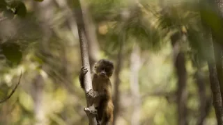 Dcéry a synovia divočiny (2/5)