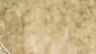 Dcéry a synovia divočiny (2/5)