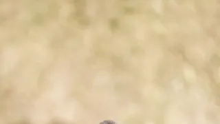 Dcéry a synovia divočiny (2/5)