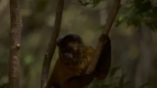 Dcéry a synovia divočiny (2/5)