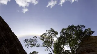 Dcéry a synovia divočiny (2/5)