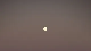 Dcéry a synovia divočiny (2/5)