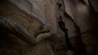 Dcéry a synovia divočiny (2/5)