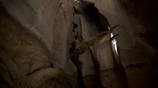 Dcéry a synovia divočiny (2/5)