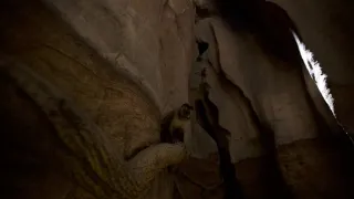 Dcéry a synovia divočiny (2/5)