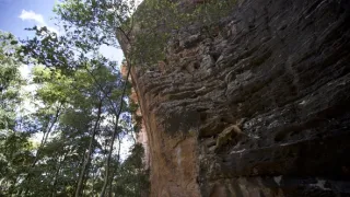 Dcéry a synovia divočiny (2/5)