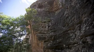 Dcéry a synovia divočiny (2/5)