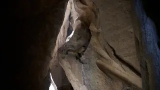 Dcéry a synovia divočiny (2/5)