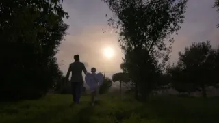 Emoce v umění (20/24)