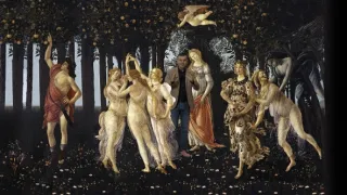 Emoce v umění (20/24)