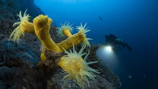 Hlubiny Středozemního moře