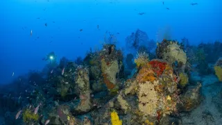 Hlubiny Středozemního moře