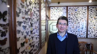 Tajemství nacistů (6/6)