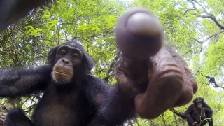 Zázračná planéta: Špionáž v divočine (1/4)