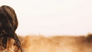 Dcéry a synovia divočiny (5/5)