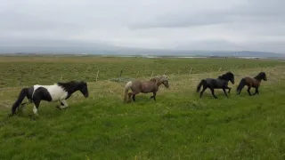 Na cestě po severním Islandu