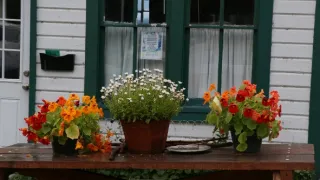 Aljaška, nekonečná země