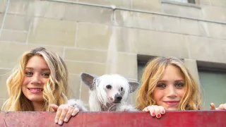 Olsen Twins: Jeden deň v New Yorku