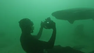 Pod hladinu za mořskými legendami (1/2)