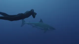 Pod hladinu za mořskými legendami (1/2)