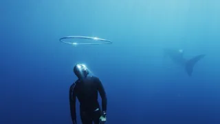 Pod hladinu za mořskými legendami (1/2)