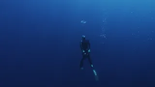 Pod hladinu za mořskými legendami (1/2)