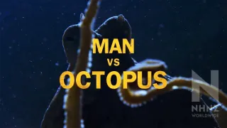 Člověk proti chobotnici