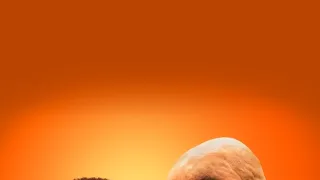 A torontói ember