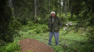 S Attenboroughom na Mravčom vrchu