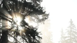 S Attenboroughom na Mravčom vrchu