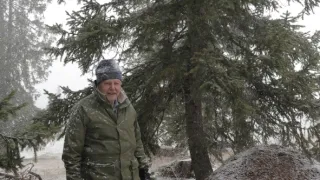 S Attenboroughom na Mravčom vrchu