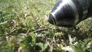 S Attenboroughom na Mravčom vrchu