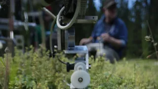 S Attenboroughom na Mravčom vrchu