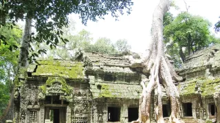 Sto divov sveta (1/13)