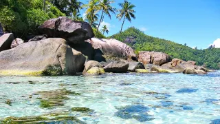 Sto divov sveta (1/13)