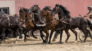 Římské dostihy (1/2)