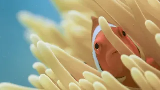 Pytačky vo svete zvierat (2/5)