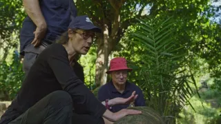 Piráti: Skutočný príbeh