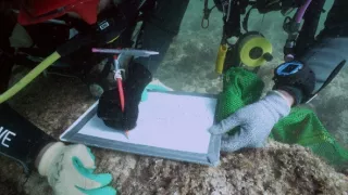 Piráti: Skutočný príbeh