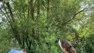Ženy ve válce (3/3)