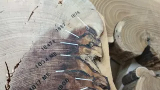 Obří požáry (2/2)