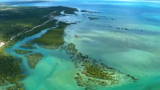 Podivní, divocí a úžasní